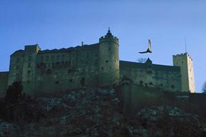 埼玉県朝霞市のビジネスホテル「東横INN北朝霞駅西口」詳細ガイドと魅力紹介
