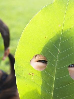 東横INN新宿歌舞伎町：快適な滞在を約束するビジネスホテルの魅力と最新情報