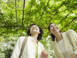 横浜みなとみらいに便利な立地を誇る【東横INN横浜スタジアム前1】の魅力と特徴