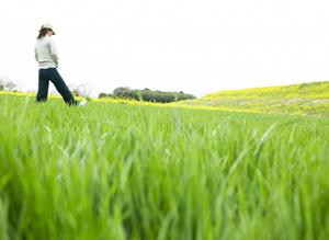 【公式情報をもとに】東横INN神田秋葉原｜東京都中央区のビジネスホテルの魅力と詳細ガイド