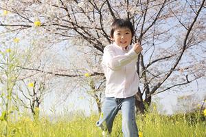 京都で快適且つ便利！東横INN京都四条大宮の魅力と詳細情報