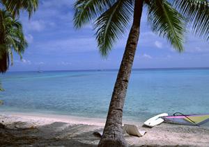 宮崎駅前の快適な宿泊を提供する東横INN宮崎駅前の魅力と詳細情報