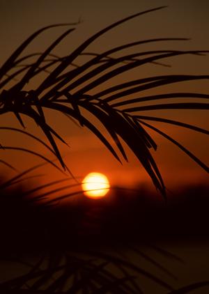 熊本市中心部に位置する快適なビジネスホテル！東横INN熊本新市街の魅力と利用ポイント