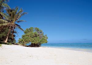 大阪市北区に位置する快適なビジネスホテル【東横INN梅田中津2】の魅力と詳細情報