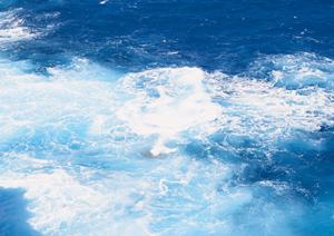 東横INN埼玉戸田公園駅西口の快適な宿泊体験と便利なアクセス情報