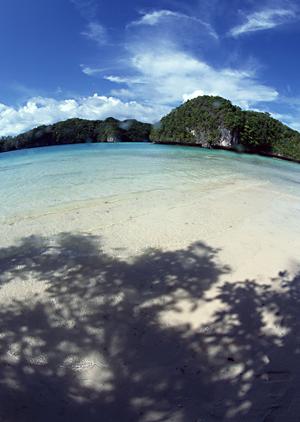 東京都台東区にある便利なビジネスホテル：東横INN上野田原町駅の詳細ガイド