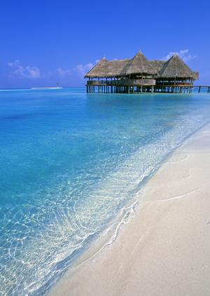 東横INN上越妙高駅西口：新潟県の便利なビジネス・観光ホテルの詳細ガイド