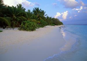 東京都池袋のビジネスホテル「東横INN池袋北口1」：快適な滞在と便利なアクセスを提供