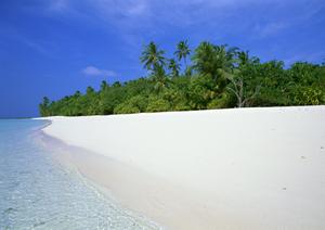 高松駅から徒歩5分！快適で便利な東横INN高松駅前−ビジネス・観光に最適な宿泊施設の詳細ガイド