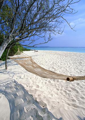 東横INN堺東駅：大阪堺市で快適なビジネス＆観光滞在を実現するホテルの魅力と詳細情報