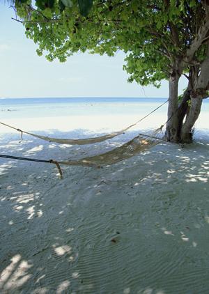 システムメンテナンスのお知らせ：サービス停止と今後の対応について