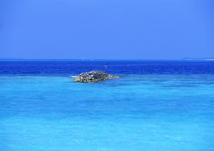 奈良市に位置する東横INN奈良新大宮駅前のアクセスと宿泊体験｜快適なビジネスホテル予約のポイント