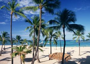 熊本空港近くに新規オープンした東横INN熊本空港：快適な宿泊とアクセスの良さを誇るビジネスホテル